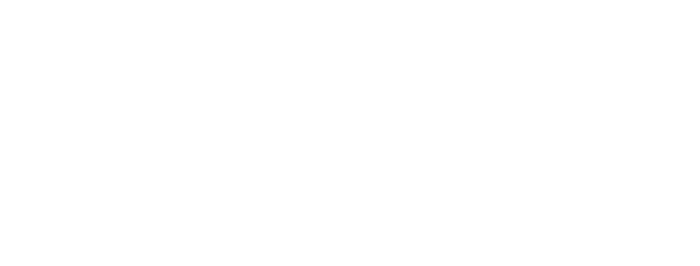 Orion Integrated Systems